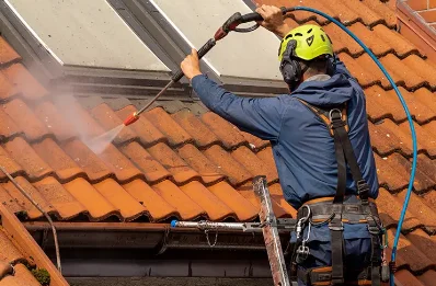 Démoussage et hydrofuge de toiture à Champdolent